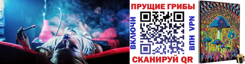 цены наркотик  Цоци-Юрт  Галлюциногенные грибы мицелий 