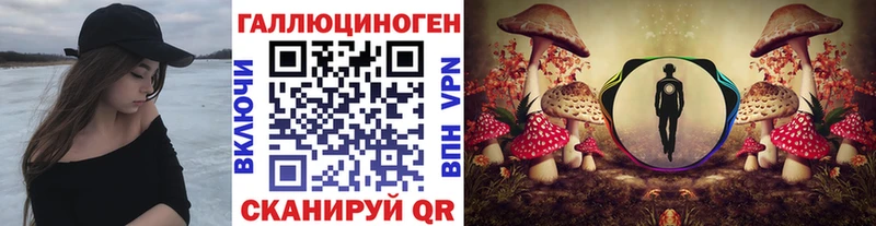 Псилоцибиновые грибы мухоморы Цоци-Юрт
